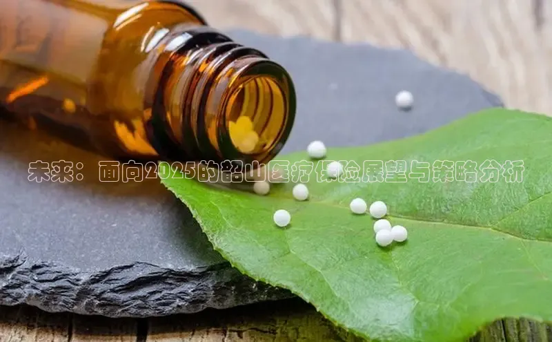 ayx游戏官网入口